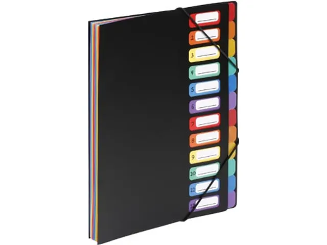 Rainbow Class sorteermap zwart A4 met 12 vakken