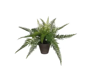 Kunstplant Mica Varen groen in pot Stan grijs 38x50cm - 7
