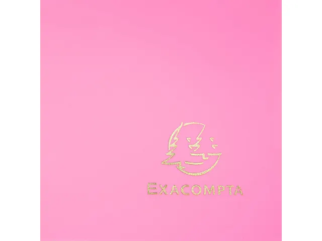 Elastomap 3 kleppen polypropyleen ondoorschijnend Eco A4 Fuchsia