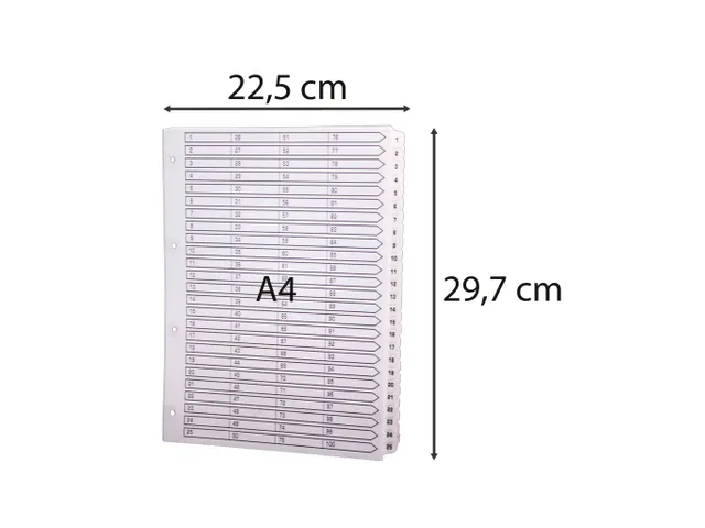 Tabbladen karton 160g A4 1-100 wit