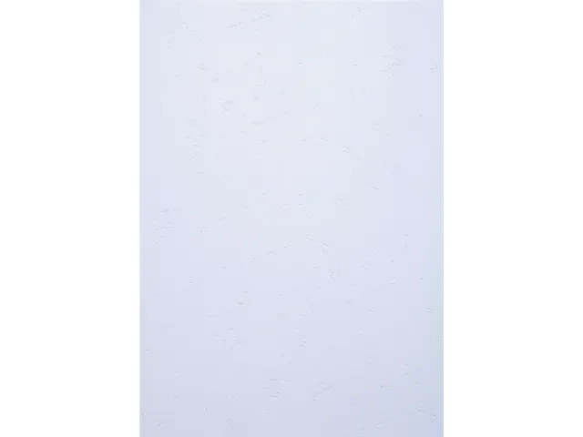 PK100 inbindkaft FOR EVER 270g A4 wit