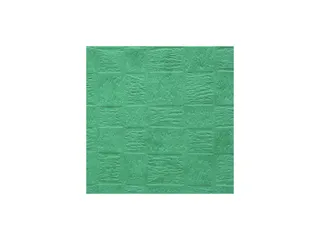 Elastomap Nature Future gekorreld glanskarton A4 600 g/m² groen - 7