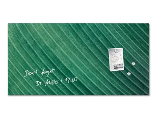Glasmagneetbord Sigel mat PALM LEAFS 91x46cm - 2