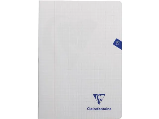 Schrift Mimesys Pp A4 80blz Geruit 4x8mm Assorti