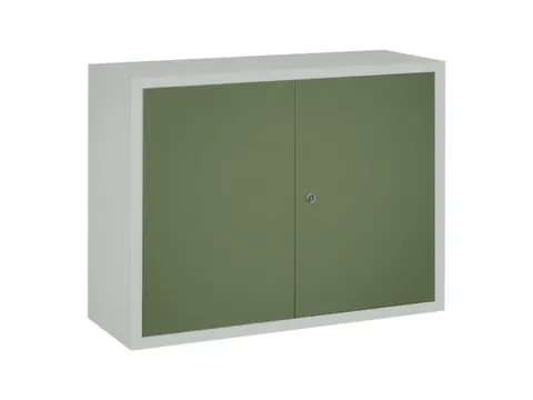 Hangkast 600x800x300mm 1 Verstelbaar Legbord Ral 7035 Front Ral 6011