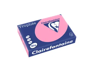Trophée Pastel gekleurd papier A4 120 gram 250vel Eglantine roze - 1