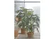 Kunstplant Mica Areca palm in plastic pot 150cm