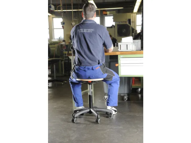 Werkplaatskruk Assistent Professional