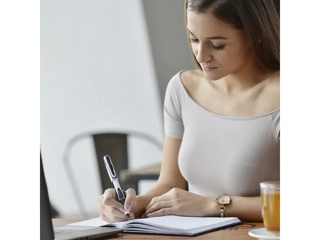 Roller Schneider Ray gris/blanc