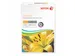Colotech+ papier A4 250 Vel 200 gram Wit 003R99018