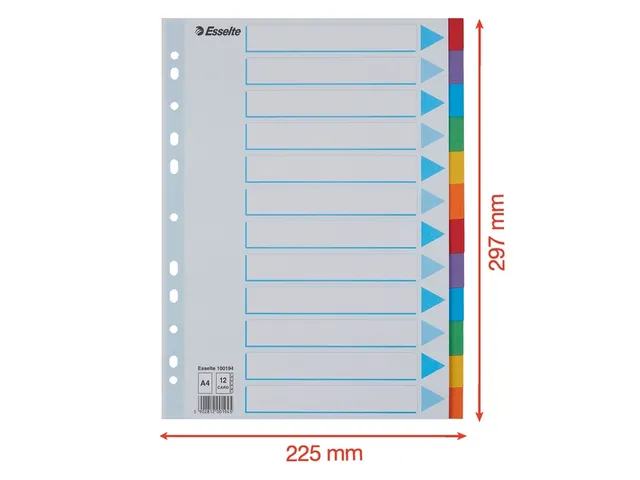 Tabbladen Esselte A4 11-Gaats Karton 12-Delig Assorti