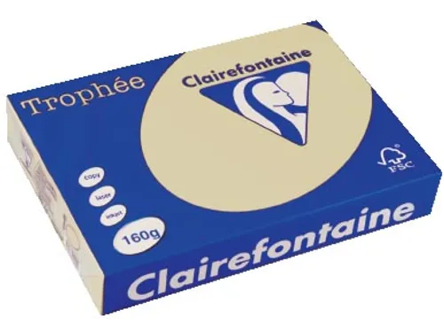 Trophée Pastel gekleurd papier A4 160 gram 250vel Chamois gems