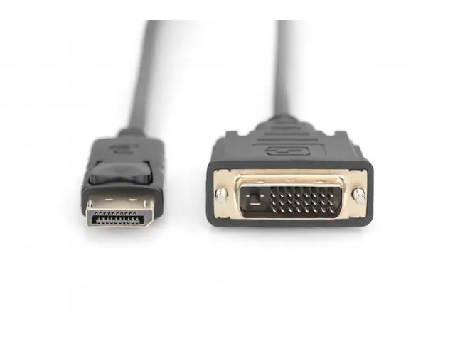 DisplayPort-adapterkabel type DP DVI (24+1) St/St 2m met slot Full HD