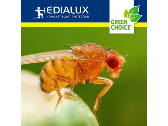 Green Choice - Fruitvliegenval, 2x15ml