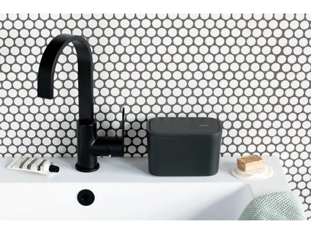 Mindset Bac à Déchets, Brabantia