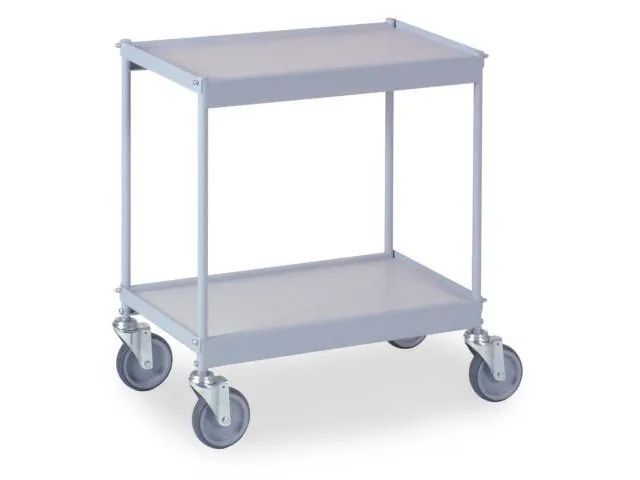 Universele Wagen 150kg 660x335mm 2 Etages Zilvergrijs