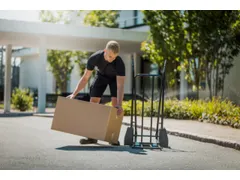 Steekwagen,Draagverm. 250Kg,Lucht-Banden,Inklapbare Steekplaat,Zwart