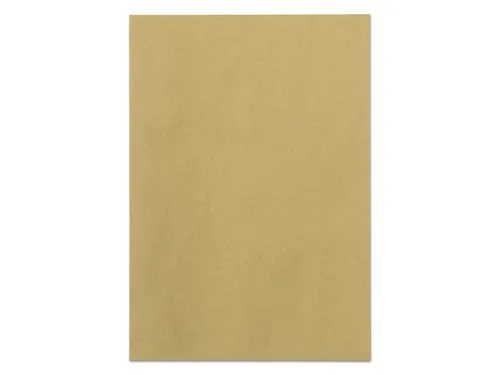 Envelop Raadhuis 162x229mm C5 akte plakstrip kraft 90gr 500 stuks in d