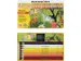 Crayon de couleur Eberhard Faber set 38 pièces
