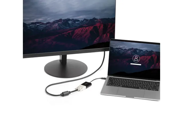 USB-C naar DVI adapter Full HD video converter voor DVI-schermen