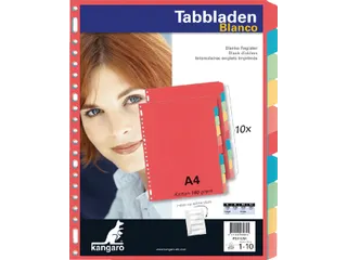 Tabbladen Kangaro A4 23-gaats PE410M 10-delig assorti karton - 2