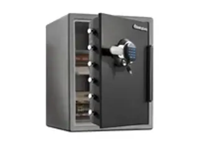 OUTLET Coffre-fort Ignifuge Sfw205gpc