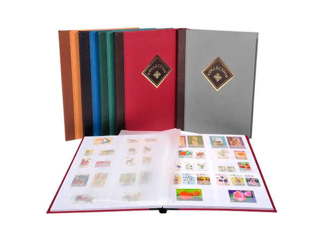 - Couleurs assorties