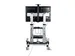 Verrijdbare TV Standaard op Wielen 60-100inch Flat Screens tot 100kg