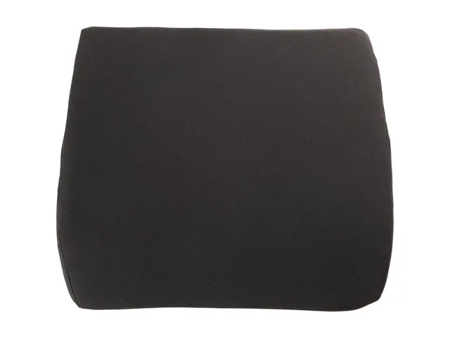 Coussin dorsal Fellowes Breyta Comfort noir
