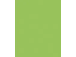 Etalagekarton Folia 48x68 cm 400gr Nr 941 Fluor Groen