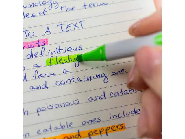 Markeerstift Schneider Shine-Up Display 80 stuks