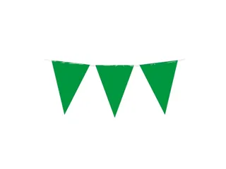 Party Flag PE Green - 1