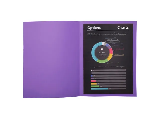 100 dossiermappen ROCK''S 220 24x32cm Paars