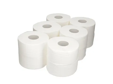Papier toilette Budget Mini Jumbo 2 épaisseurs 170m 12 rouleaux