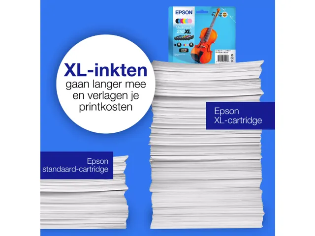 C13T16N84510 EPSON 250 EasyMail XP ink