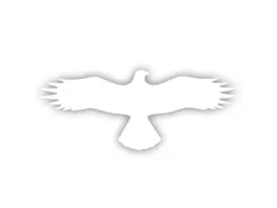 sticker,Buizerd,PVC,wit,zelfklevend,HxB 145x367mm