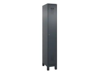 locker voor scheiding van kleding,HxBxD 1950x300x500mm,1vak - 2