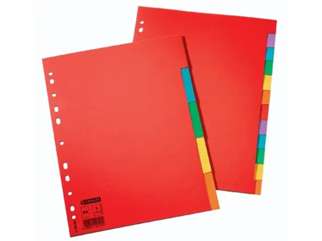 Tabblad A4 12 Tabs Karton 23-R Gekleurde Tabs