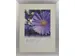 Fotolijst Aluminium Breed -plexiglas 21x29.7Cm