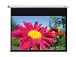 Optoma DE-1109EGA projectiescherm 16:10 109 Inch