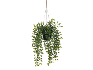 Kunstplant Mica Ficus hangend in pot groen 20x46cm - 7