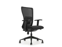 Ergonomische Bureaustoel Arbo Goedgekeurd NEN-EN 1335 Zwart Net Rug