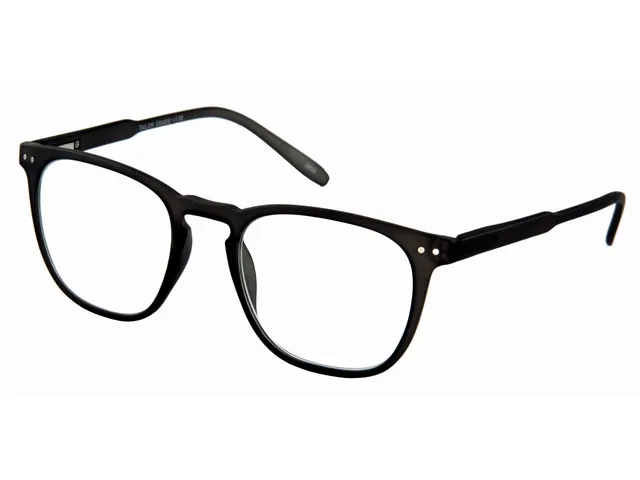 Lunettes de lecture I Need You +2.50 dpt Tailor anthracite