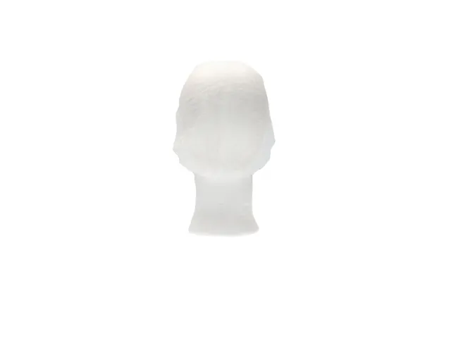 Haarnet CMT clip non-woven L 53cm PP wit 100 stuks