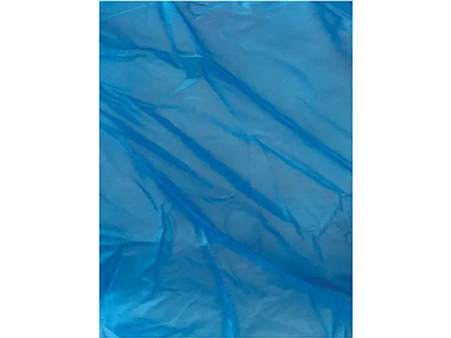 Wegwerphandschoen Arco Essentials vinyl blauw XL 100st