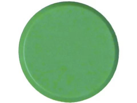 Magneten 10 Mm Groen 10 Stuks