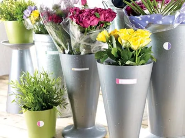 Lamineer Etiket Fluo Assorti 24 stuks