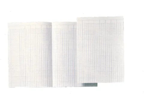 Accountantspapier Djois Atlanta A4 14 kolommen 100vel