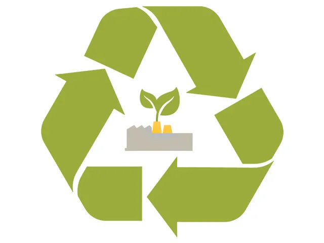 Rollerball Schneider Breeze zwart/blauw