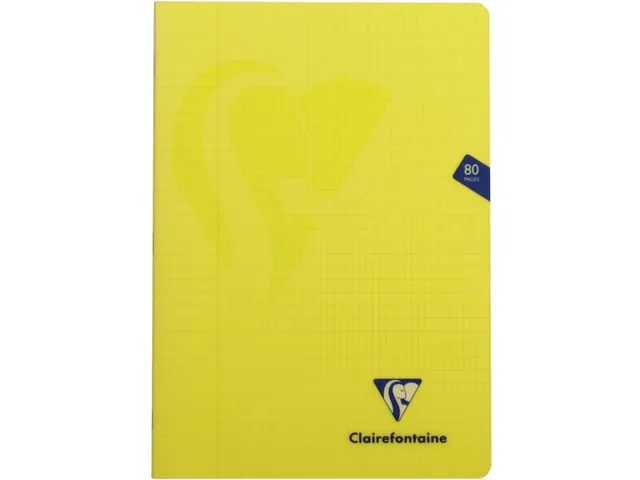 Schrift Mimesys Pp A4 80blz Geruit 4x8mm Assorti